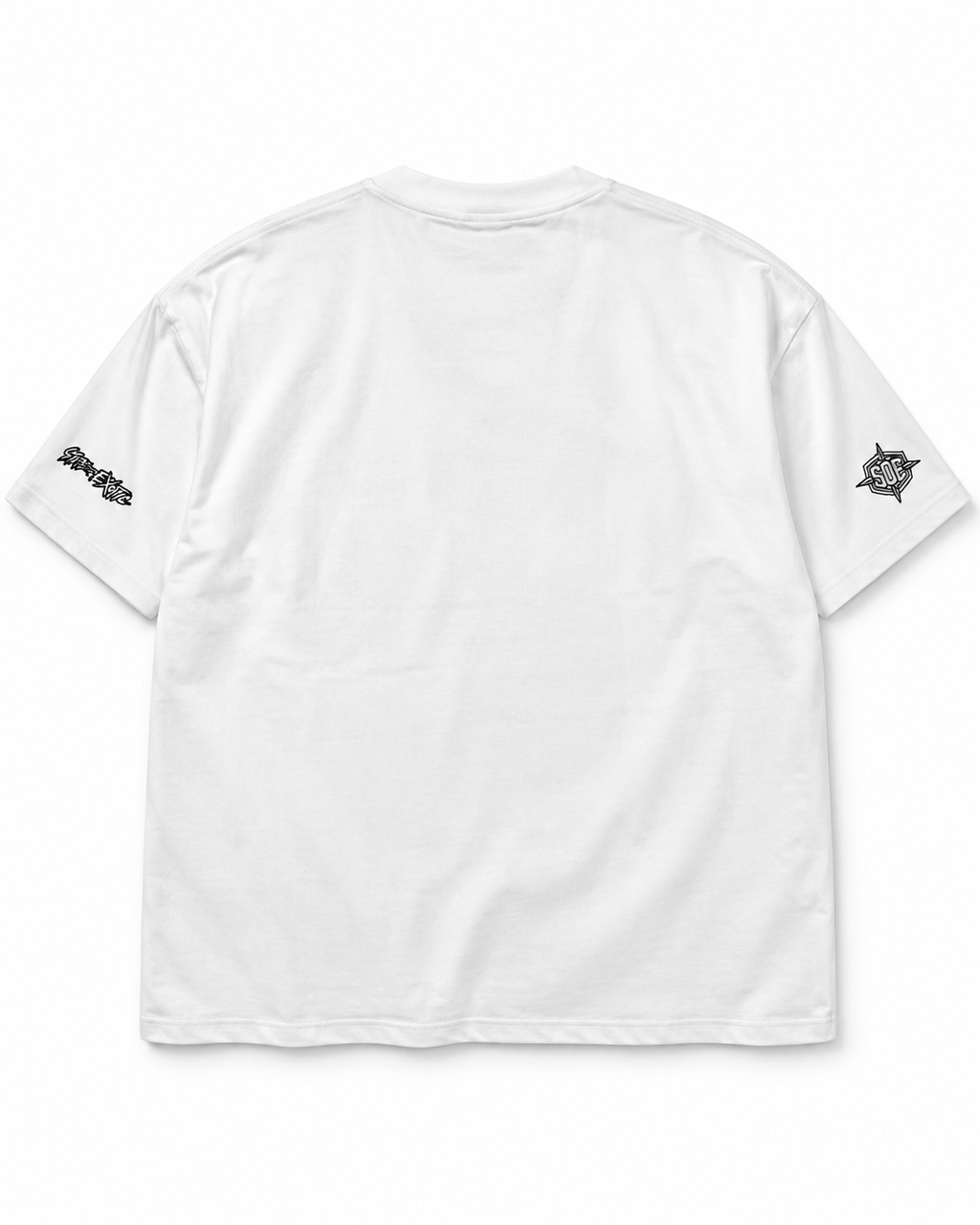 SLOW DOWN Typhoon Metallic CT5 V Heavyweight Boxy Tee